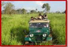 Yala National Park 2